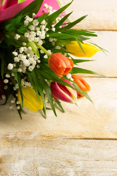 Colorful tulips — Stock Photo, Image