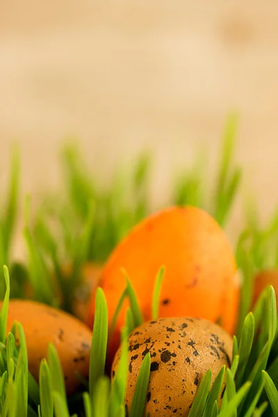 Easter — Stock Photo, Image