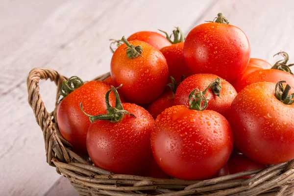 Tomato — Stock Photo, Image