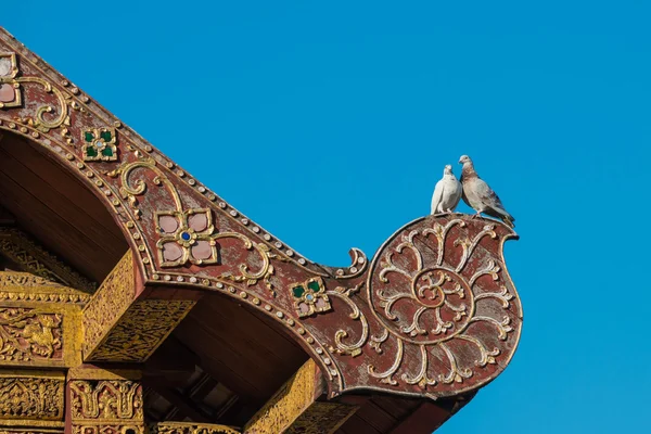 Two Lover Pigeon on the ancient Thai art style roof — Stock Photo, Image