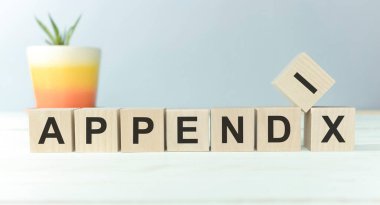 APPENDIX kelimesi yapı taşları ile yapılır, tıbbi konsept.