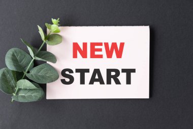 Koyu arkaplan üzerinde bir defter sayfasında NEW Başlat metni