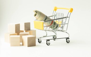 Stüdyo, 50 dolar ve 20 dolar banknot ve beyaza izole edilmiş küçük bir alışveriş arabası vurdu.