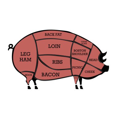 Et şeması seti. Et kesikleri. Domuz silueti. Antika alışveriş posterleri, kasap dükkanı, et dükkanı. Vektör illüstrasyonu