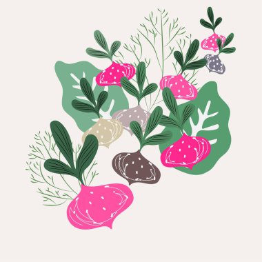 Sebzeler. Vektör gıda çizimleri: turp ve biberiye