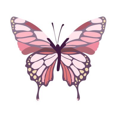Colorful butterfly on a white background, art. Vector on a white background