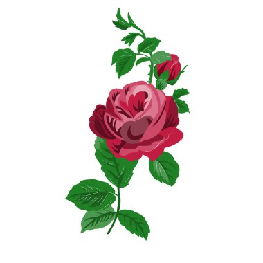 Ornate seamless pattern with vintage rose. Vector