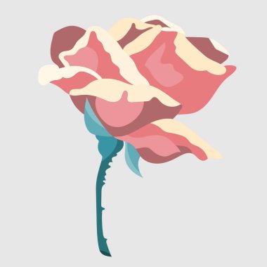 Vintage rose on a white background. Vector
