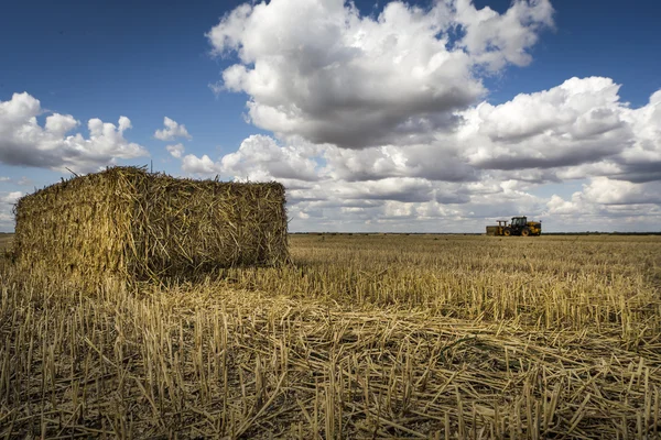 Bale de paja, tractor en el horizonte, nubes suaves cielos azules — Foto de Stock