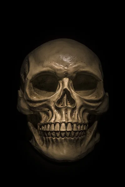 Spooky skull on black background — Stock Photo, Image