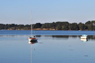 Deniz kıyısının manzarası