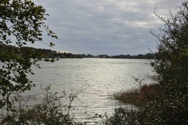 Deniz kıyısının manzarası