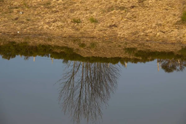 Paisagem Com Árvores Cerca — Fotografia de Stock