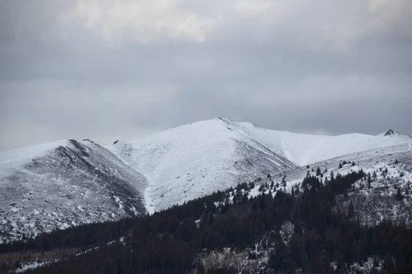 Montagnes Enneigées Hiver — Photo