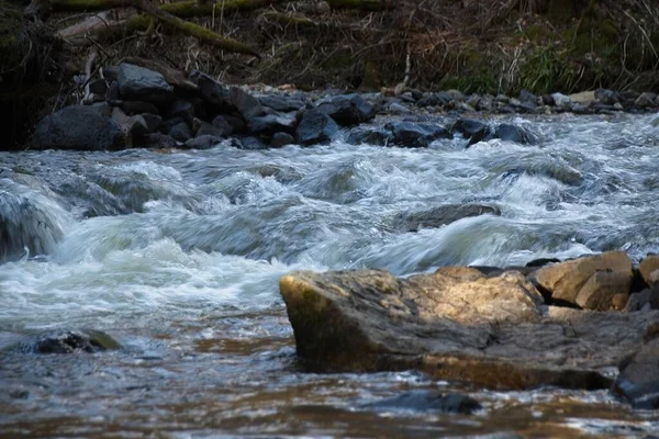 Voda Tekoucí Skalách Lese — Stock fotografie