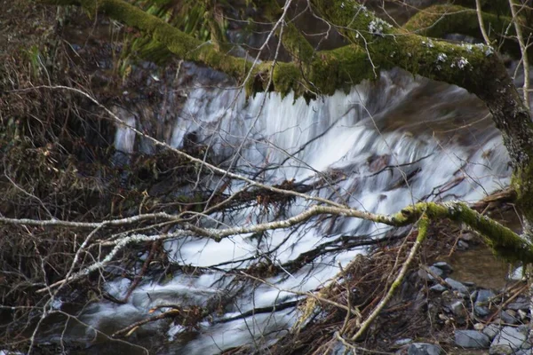 Voda Tekoucí Skalách Lese — Stock fotografie