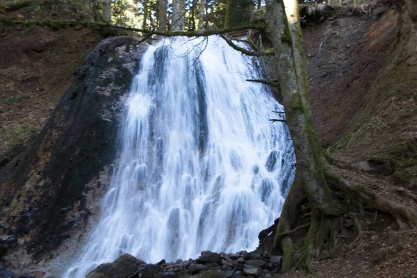 Cascada Bosque —  Fotos de Stock