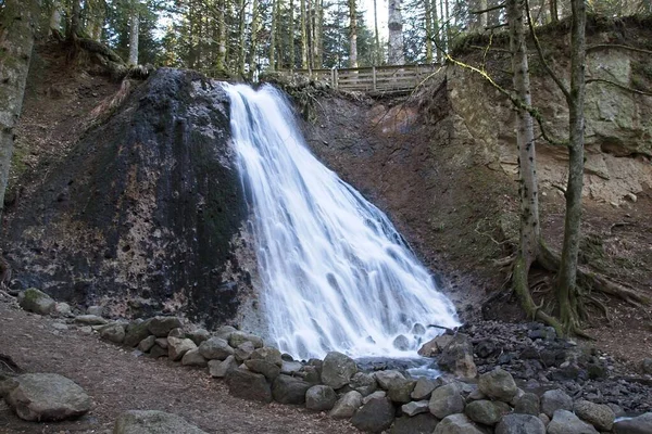 Cascada Bosque —  Fotos de Stock