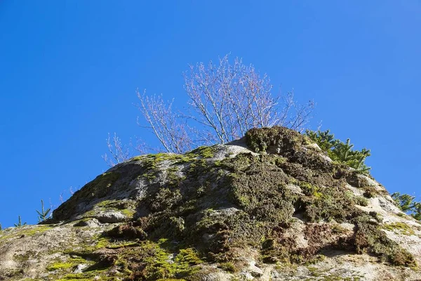 Гірський Пейзаж Блакитним Небом — стокове фото
