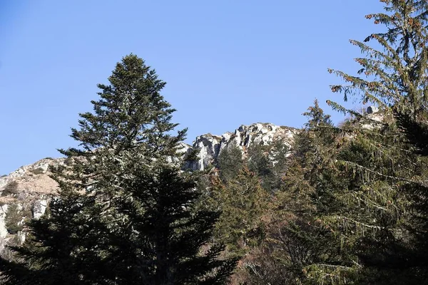 Paysage Montagne Avec Ciel Bleu — Photo