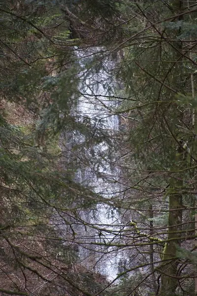 Cascade Dans Forêt — Photo