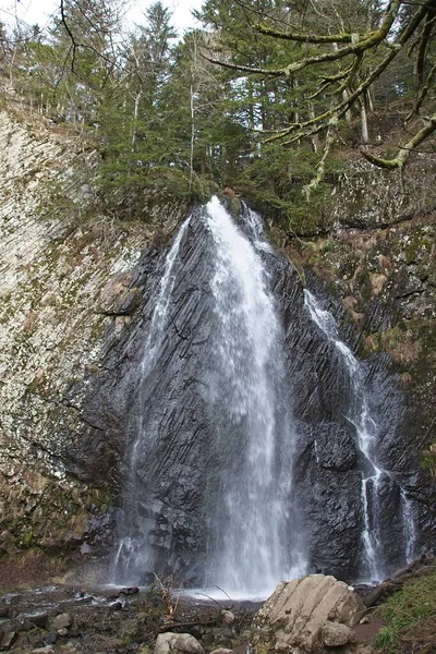 Cachoeira Floresta — Fotografia de Stock