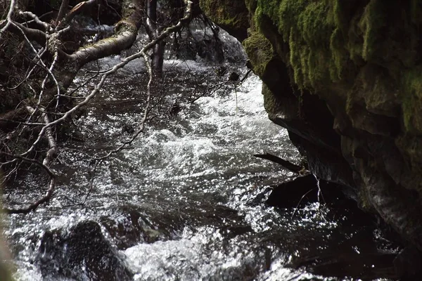 Waterval Het Bos — Stockfoto