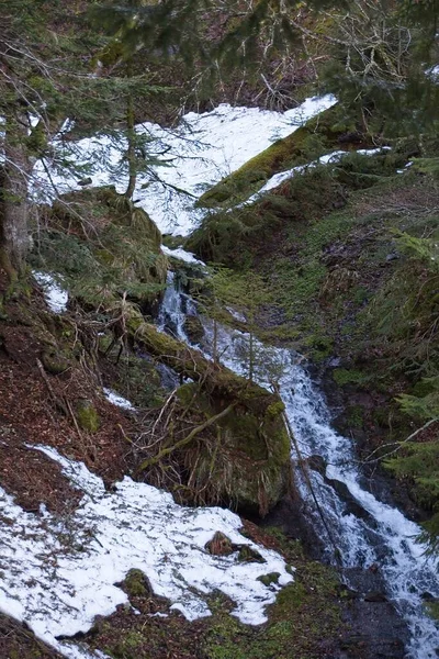 Vattenfall Skogen — Stockfoto