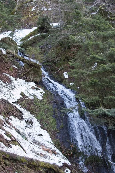 Vattenfall Skogen — Stockfoto