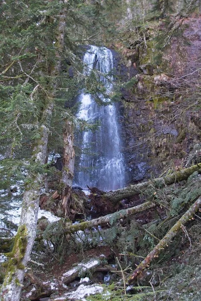 Vattenfall Skogen — Stockfoto