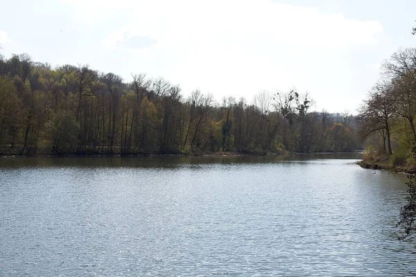 Lago Bosque — Foto de Stock