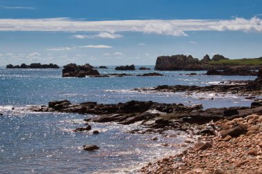 Deniz kıyısının manzarası