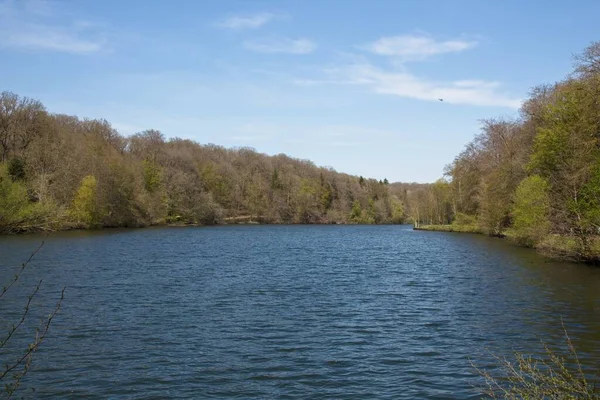 Fiume Nella Foresta — Foto Stock