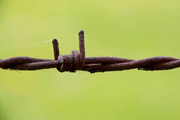 柵の上の鉄条網 — ストック写真