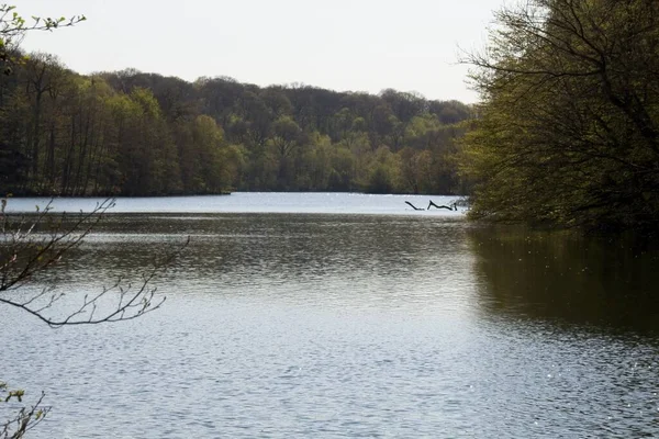 Der Fluss Park — Stockfoto