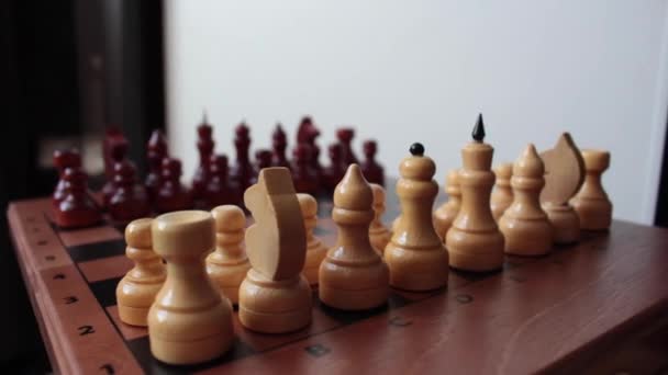 Σκακιέρα Λευκό Φόντο — Αρχείο Βίντεο