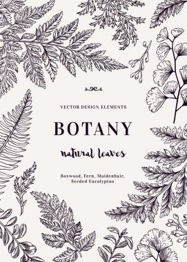 Botanical card for with leaves clipart