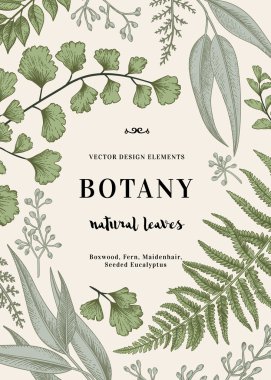 Botanical illustration with leaves clipart