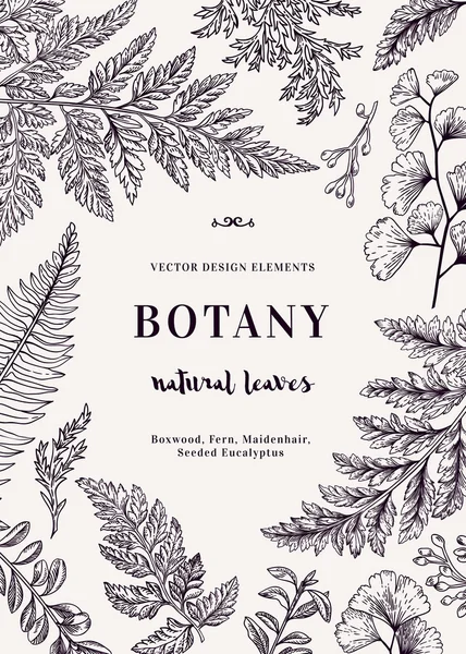 Botanická karta pro listy — Stockový vektor