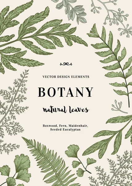 Botanická ilustrace s listy — Stockový vektor