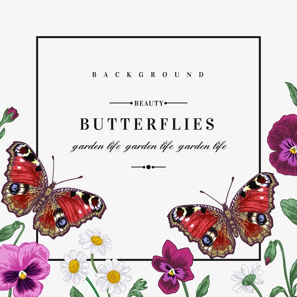 Рамка з літніми квітами і метеликами — стоковий вектор