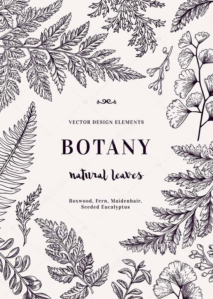 Botanical card for with leaves