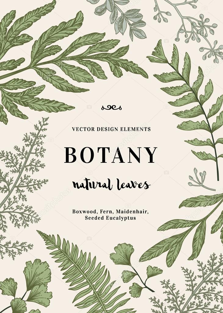 Botanical illustration with leaves