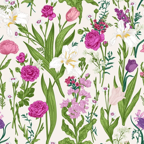 Motivo Floreale Senza Cuciture Con Piante Estive Primaverili Illustrazione Botanica — Vettoriale Stock