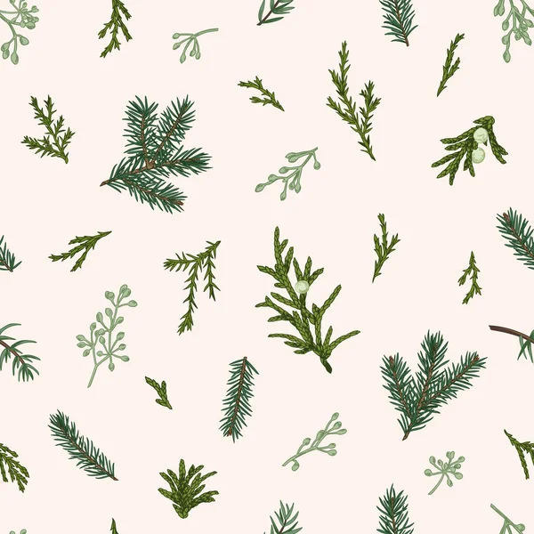 Julen Sömlös Grönt Mönster Med Kvistar Växter Vinterbotanik — Stock vektor