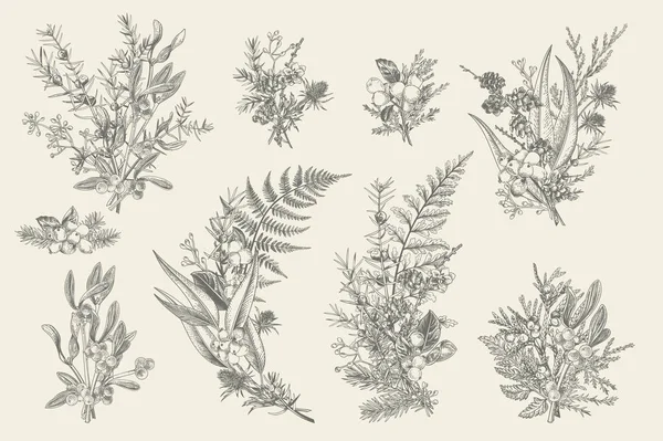 装飾のための自然の森の花束 花の手配だ 常緑樹 針葉樹 コーン ベクトルヴィンテージイラスト 黒と白 — ストックベクタ