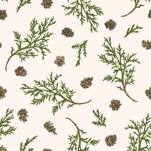 Motif Sans Couture Avec Branches Genévrier Cônes Mélèze Illustration Botanique Vecteur En Vente