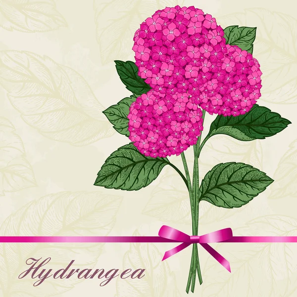 Carte avec fleurs d'hortensia . — Image vectorielle