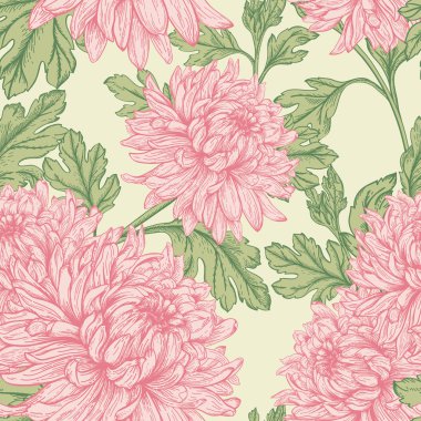 pembe kasımpatı çiçekleri