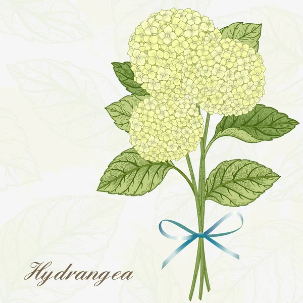 Kaart met hortensia bloemen. — Stockvector